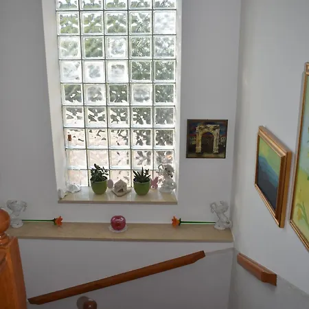 House Suzana פולה
